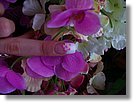 Poprawny manicure