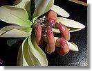 Manicure pedicure