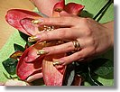 Manicure dłoni